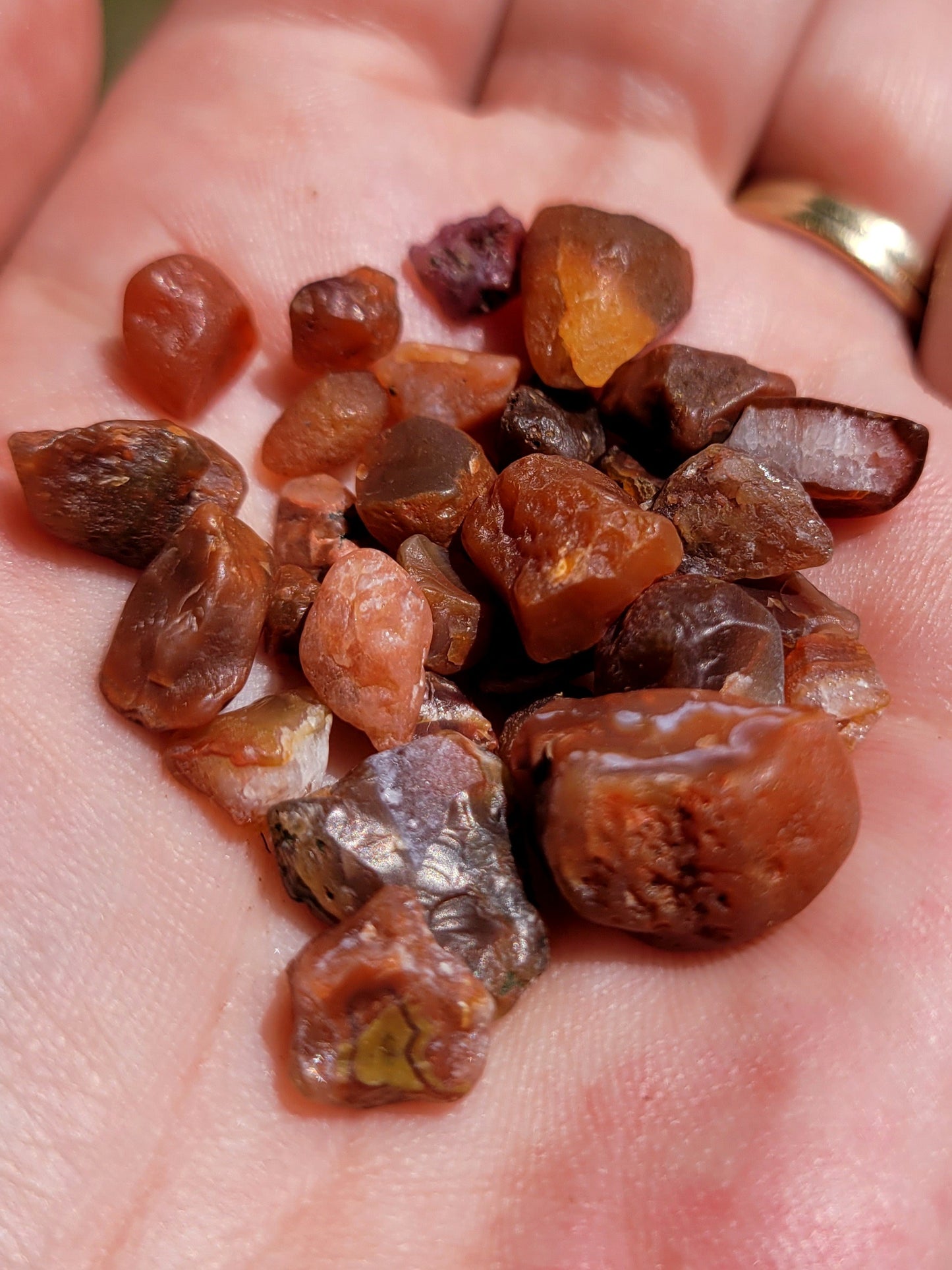 Lake Superior Agate “Seeds”