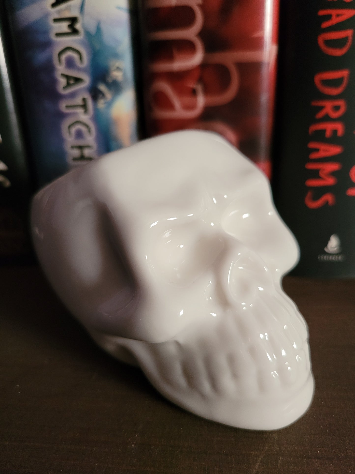 Ceramic Skull Planter