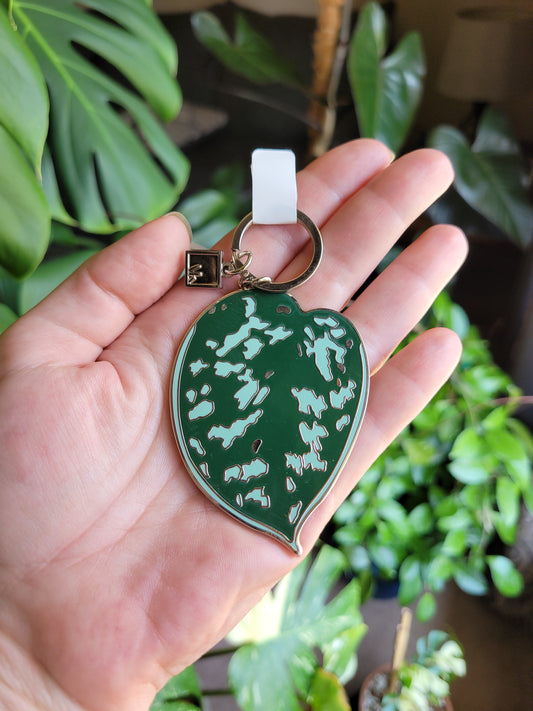 Scindapsus Keychain