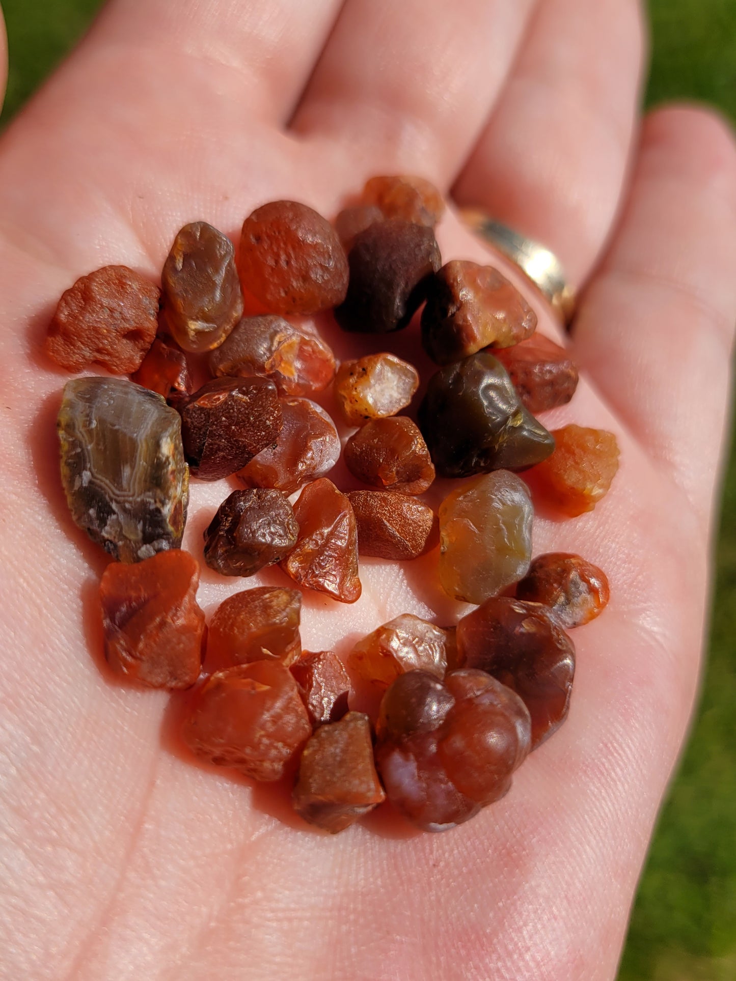 Lake Superior Agate “Seeds”