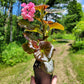 Begonia x semperflorens-cultorum ‘Double Lady Francis Pink’ (Wax Begonia)