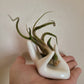 Ceramic Air Plant Holder - Hand