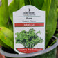 Microsorum punctatum 'Green Flame' (Dwarf Elkhorn Fern)