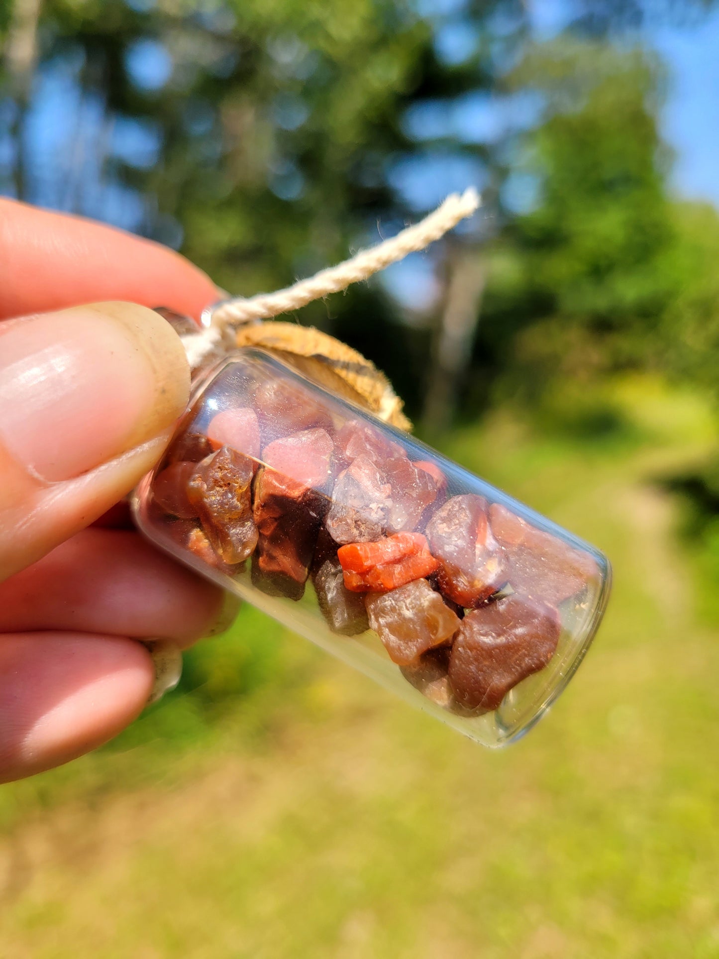 Lake Superior Agate “Seeds”