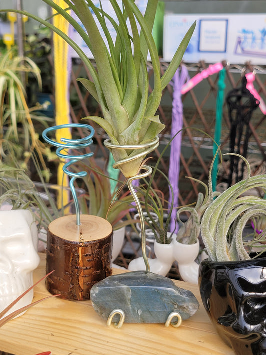 Labradorite Air Plant Holder