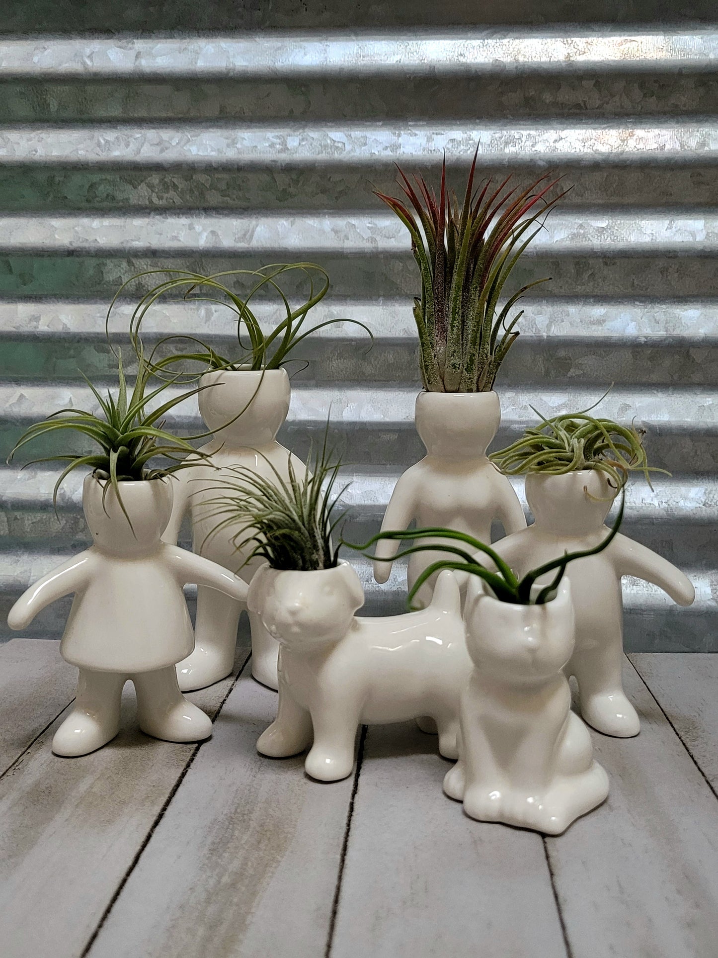 Ceramic Air Plant Holders - Set of 6