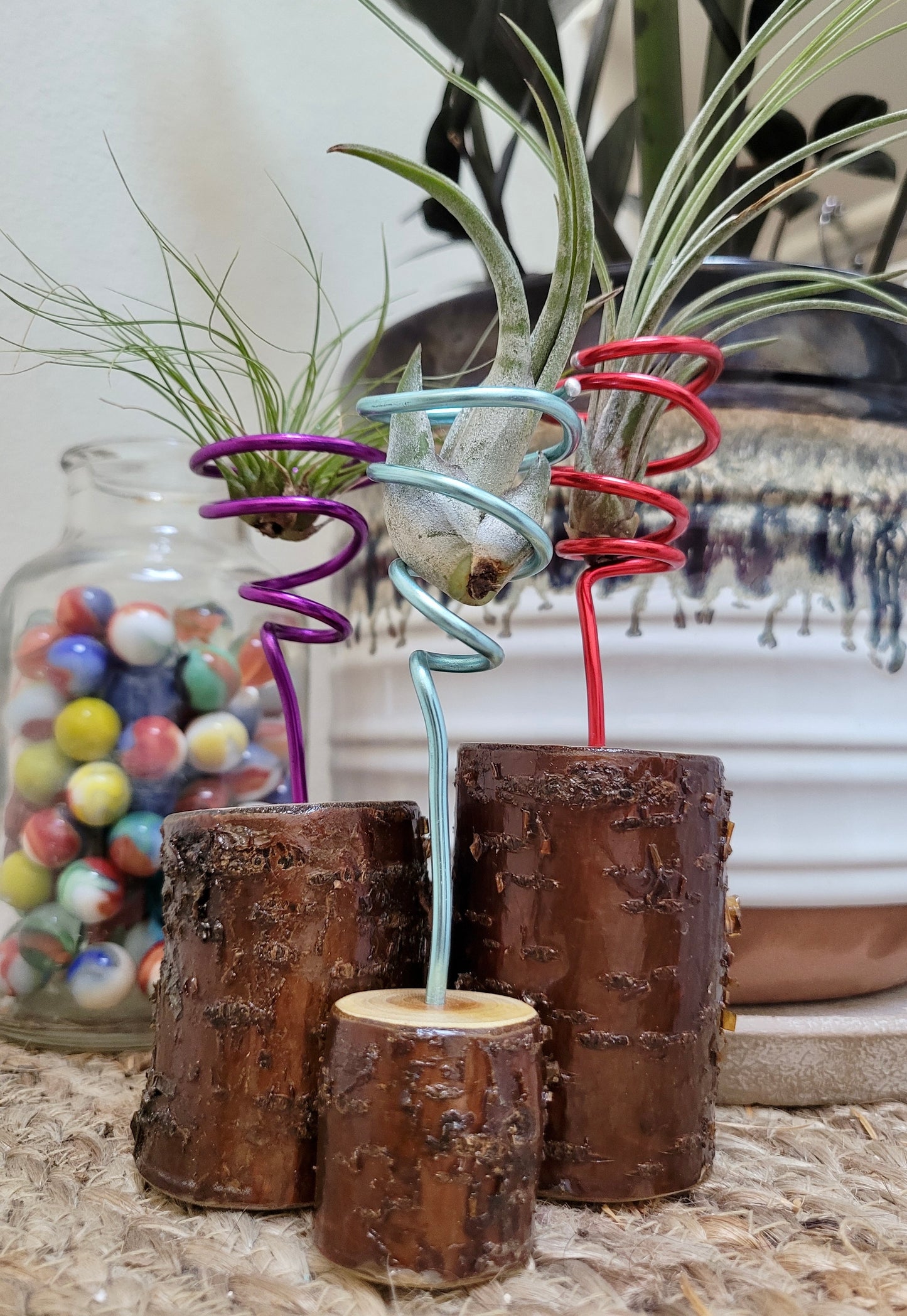 Cherry Wood Air Plant Holder